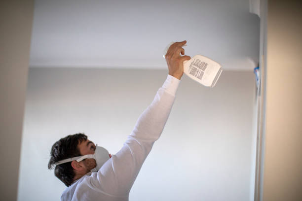 Best Industrial Mold Remediation in Cypress Quarters, FL