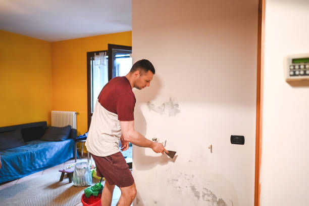Best Localized Mold Remediation (e.g., coastal areas, humid climates) in Cypress Quarters, FL